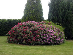 sommerudflugt region fyn 2012 180r